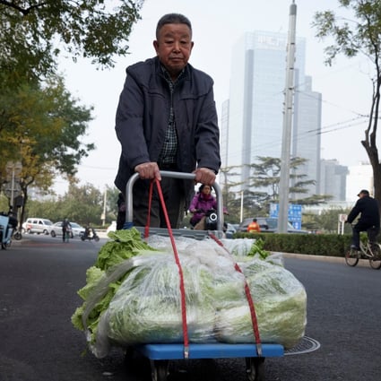 A Beijing resident stocks up on cabbages after the government issues a seasonal reminder about basic necessities. Photo: Reuters