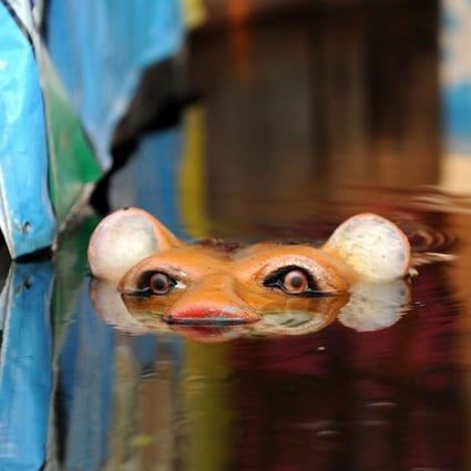 A tiger sculpture pokes out of flood waters in Bangkok in 2011. Photo: AFP