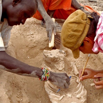 In this August 2012 photo provided by Marta Mirazon Lahr, researcher Frances Rivera, right, and Michael Emsugut, left, excavate a human skeleton at the site of Nataruk, West Turkana, Kenya. This skeleton was that of a woman, found lying on her back, with lesions on her neck vertebrae consistent with a projectile wound. Photo: AP