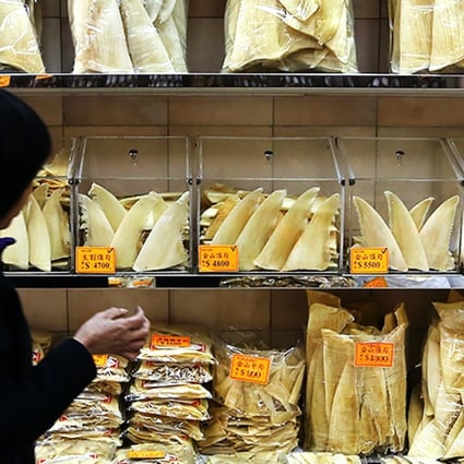 Shark fins on display at a dry seafood store in Western District. Photo: SCMP Pictures