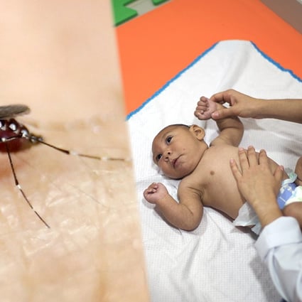 An Aedes aegypti mosquito is seen on human hand in a laboratory in Colombia. The WHO called the special session in part to convey its concern about an illness that has sown fear among many would-be mothers, after mounting evidence from Brazil suggesting infection in pregnant women is linked to abnormally small heads in their babies. Photo: Reuters / AP