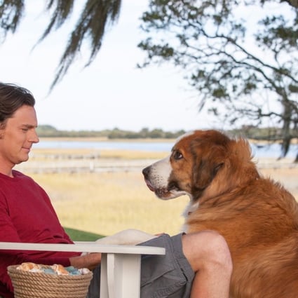 Benjamin Walker and dog in The Choice (Category: IIA), directed by Ross Katz and co-starring Teresa Palmer .