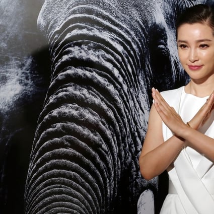 Actress Li Bingbing attends a Hong Kong ivory trade ban press conference. Photo: Jonathan Wong