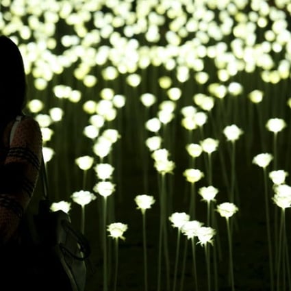 A visitor takes a selfie next to the Light Rose Garden installation. Photo: Reuters