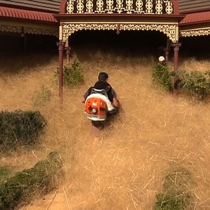 Hairy Panic Tsunami Of Fast Growing Tumbleweed Inundates Australian City South China Morning Post