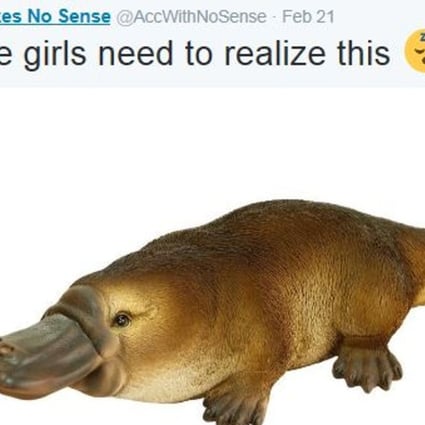 Smells like teen idiots: the Twitter meme so moronic it literally makes no sense | South China Morning Post Smells like teen idiots: the Twitter meme so moronic it literally makes no sense | South China Morning Post