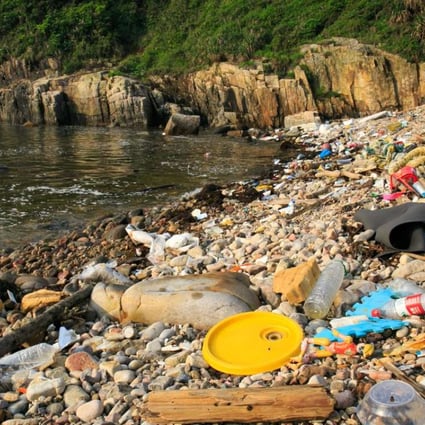 Plastic and other litter washed up on a beach close to Long Ha Wan, in Clearwater Bay, Hong Kong. Photo: Tessa Chan