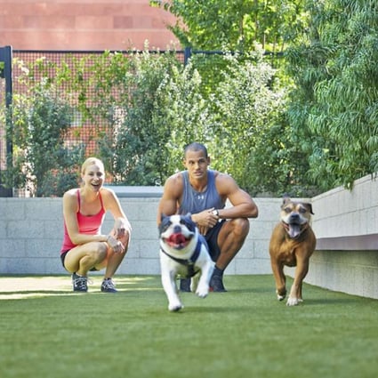 The Emerson, a building in downtown Los Angeles, has a dog run with a 24-hour pet spa. Photo: courtesy of The Emerson