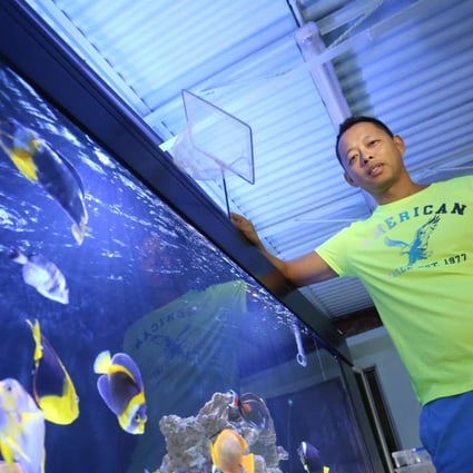 buy marine fish