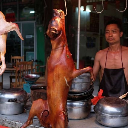 A file picture of a dog carcass at a restaurant in Yulin in the Guangxi region. Photo: AFP