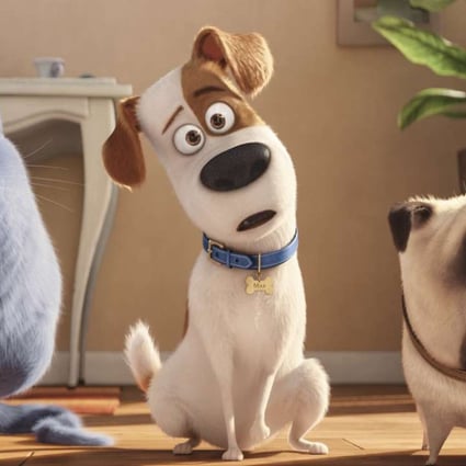 Film review: The Secret Life of Pets – the year's cutest cartoon from  Minions team | South China Morning Post