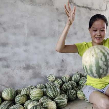 The unusual watermelons bounce when dropped, rather than shattering. Photo: SCMP Pictures