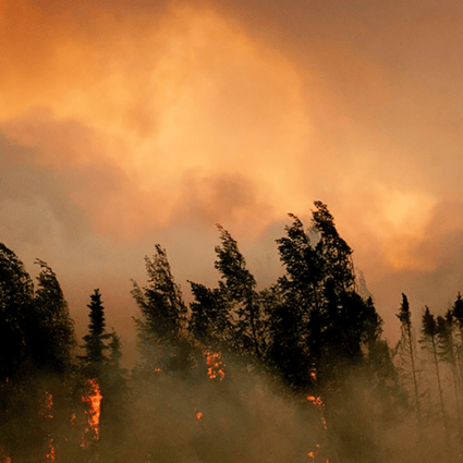 A wildfire in Alaska