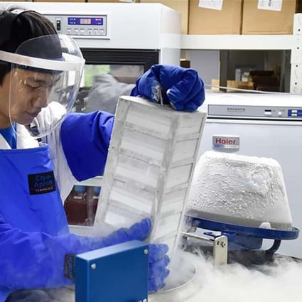 A member of staff handles samples at the gene bank. Photo: Xinhua