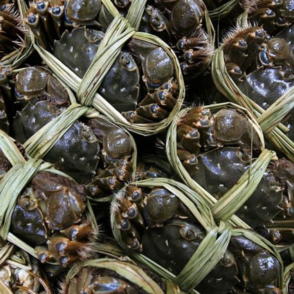 A batch of hairy crabs sourced from the mainland. Photo: SCMP Pictures
