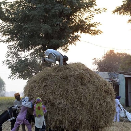 Indian villagers hold onto an overloaded horse cart while a worker presses the paddy stubble used as fuel and mixed into cattle feed at a village near Jalandhar. Global warming is seen having a strong link to the creditworthiness of a country. Photo: AFP