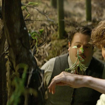 Eddie Redmayne as Newt Scamander meets a Bowtruckle in a scene from Fantastic Beasts and Where to Find Them.