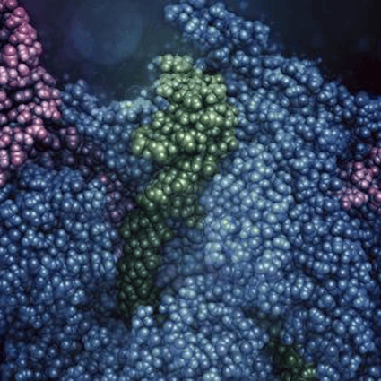 CRISPR-CAS9 gene editing complex from Streptococcus pyogenes. Photo: Molekull/Science Photo Library