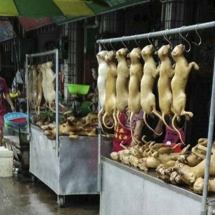 Peter Li from HSI investigates a Yulin dog meat market in 2015.