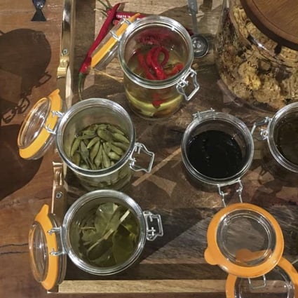 The Foragers Of Singapore How To Find Edible Plants Growing Wild And The Foods And Drinks To Make From Them South China Morning Post