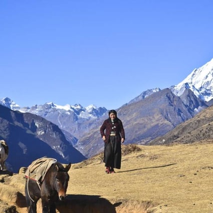 A Layap woman leads donkeys in Bhutan's remote Laya Valley. Photos: Chris Dwyer