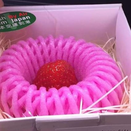 Wasteful: a solitary strawberry from Japan is packaged in plastic for sale at City'super in Causeway Bay.
