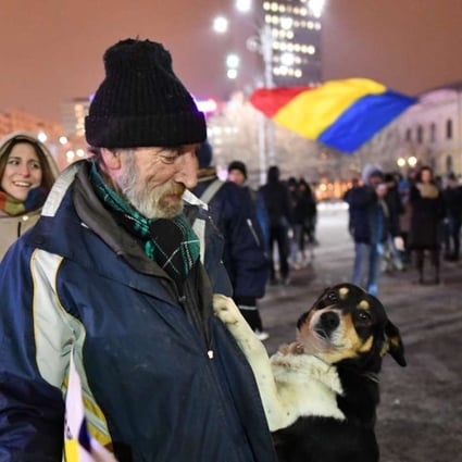 A man and his dog protesting in front of the government headquarters in Bucharest, against the controversial corruption decrees. Dogs were ‘paid’ to demonstrate against the government, according to one Romanian news report. Photo: AFP