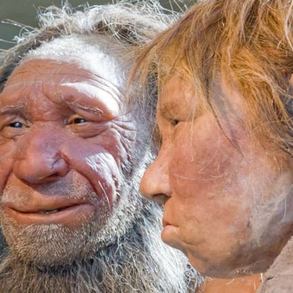 Reconstructions of a Neanderthal man and woman at the Neanderthal museum in Mettmann, Germany. Trying to explain cases of ancient cannibalism among our evolutionary forerunners is a vexing scientific challenge. A new study released Thursday that whatever the reasons, they were probably not hunting each other just for food. Photo: AP