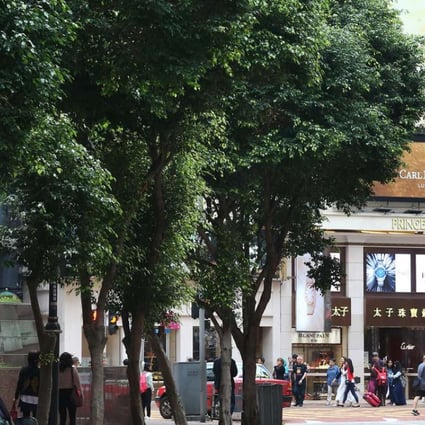 Shoppers in Russell Street in Causeway Bay. Photo: K. Y. Cheng