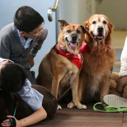 A volunteer (right) spends time with two students as part of Animals Asia Foundation’s dog therapy programme. The Dr Dog programme arranges for volunteers to take their dogs to hospitals, homes for the elderly and schools for visits. Photo: Xiaomei Chen