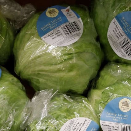 British-grown iceberg lettuces will reappear on supermarket shelves this week. Photograph: Darren Staples/Reuters