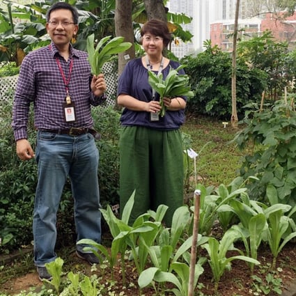 Lily Chan (right) with fellow peer support worker Jecko Cheng Chi-ho in the Castle Peak Hospital garden, where patients can plant crops as a form of therapy. Photo: Emily Tsang