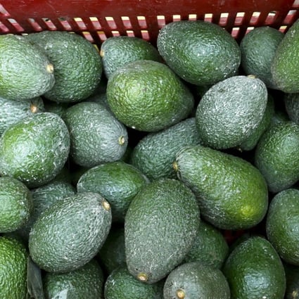 Avocados are seen at a packaging warehouse of a plantation in Chincha, Peru. A shortage of the fruit has hit the US just in time for the Cinco de Mayo holiday by the Mexican community here. Photo: Reuters
