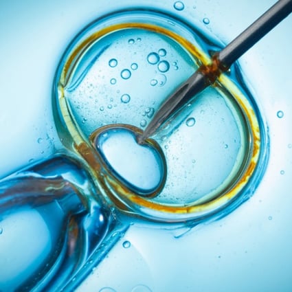 Hong Kong women aged 21-25 and 31-35 were the most likely to get pregnant after IVF treatment, according to a recent study. Photo: ShutterstockIVF by intracytoplasmic sperm injection