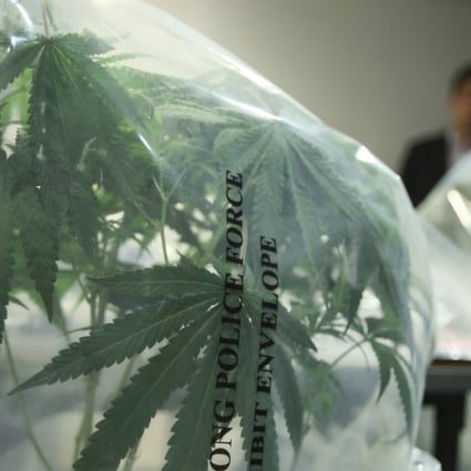 Officers display some of the marijuana plants seized from the two factory units. Photo: Sam Tsang