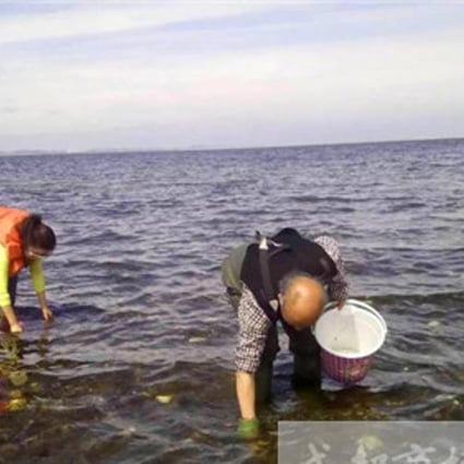 Chengdu-born Danish resident Bian Miaomiao and her Danish husband do their bit to eradicate invasive oysters. Photo: Handout