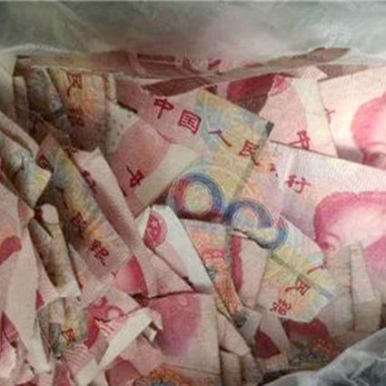 The remains of ruined 100-yuan notes. Photo: Handout