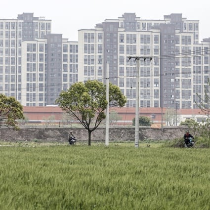 High land prices have pushed up the value of plots such as this rice field on the outskirts of Shanghai, Photo: Bloomberg