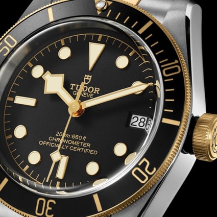 Heritage Black Bay dive watch in yellow gold and steel