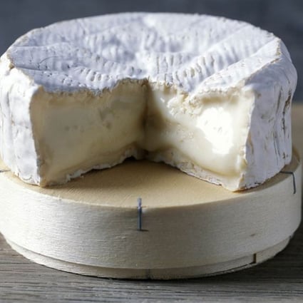 Why Camembert One Of The World S Great Cheeses Might Soon Be Extinct South China Morning Post Why Camembert One Of The World S Great Cheeses Might Soon Be Extinct South China Morning Post