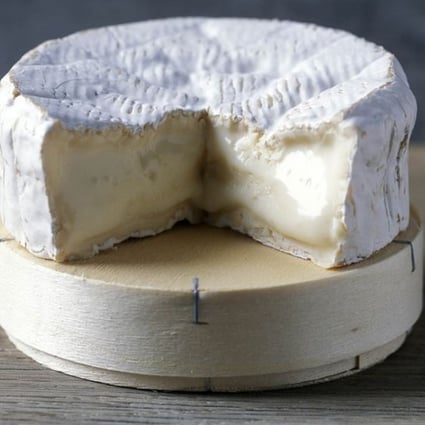 Why Camembert One Of The World S Great Cheeses Might Soon Be Extinct South China Morning Post