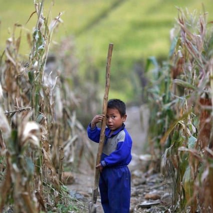 A North Korean boy holds a spade in a corn field damaged in 2011. A drought has struck the country, the worst in 16 years and the disaster is threatening food supplies in the isolated country. Photo: Reuters