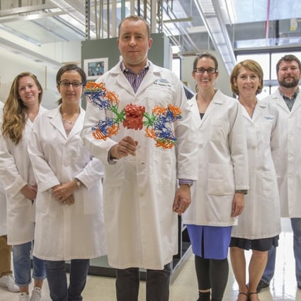 Erik Wambre (centre), molecular biologist and head of the Wambre Lab at the Benaroya Research Institute in Seattle, with colleagues in his lab. Photo: Tribune News Service