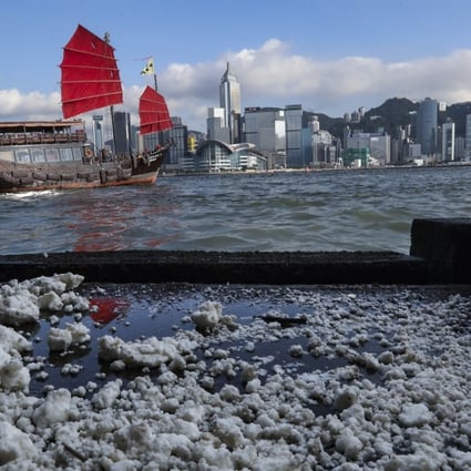 The congealed substance was also spotted in Victoria Harbour. Photo: Nora Tam