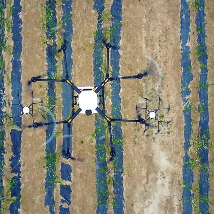 A drone sprays pesticide on to a field in Jixian, northern China’s Shanxi province. Photo: Xinhua