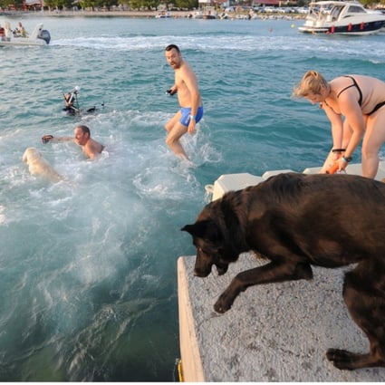 Dogs and their owners take part in the “Underdog 2017” beach race in Crikvenica, Croatia, on Sunday. Photo: Reuters