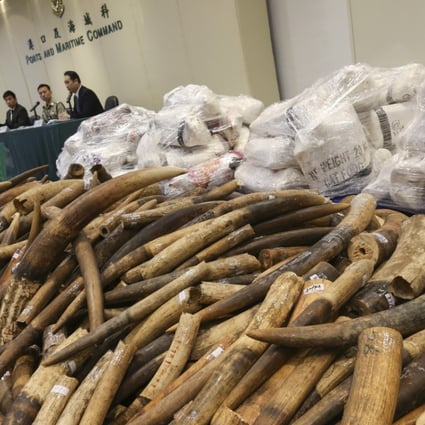 Hong Kong authorities must do more to stamp out the illegal trade in endangered species, researchers said. Photo: Dickson Lee