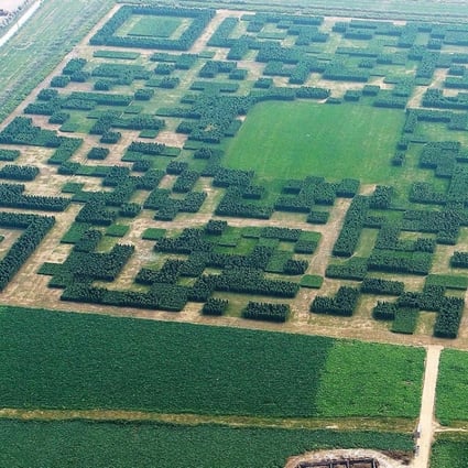 An aerial shot of the giant bar code built as part of a tourism campaign by Xilinshui village in Hebei. Photo: Xinhua