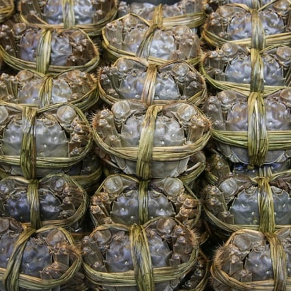 Yangcheng Lake is famed for its hairy crabs. Photo: SCMP