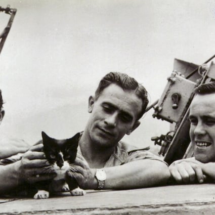 Simon the ship’s cat aboard HMS Amethyst. The Hong Kong-born cat received the PDSA Dickin Medal. Photo: courtesy of the PDSA